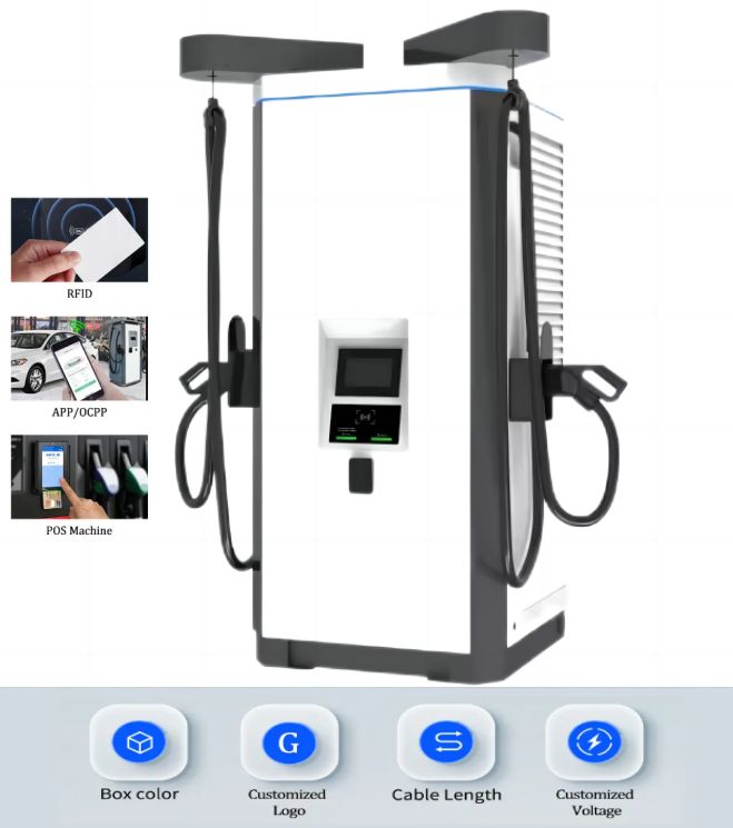 Commercial 80kW~300kW TUV Dual Mode Fast Charger System Dual Gun CCS2 Rapid EV Charging Stations With POS APP