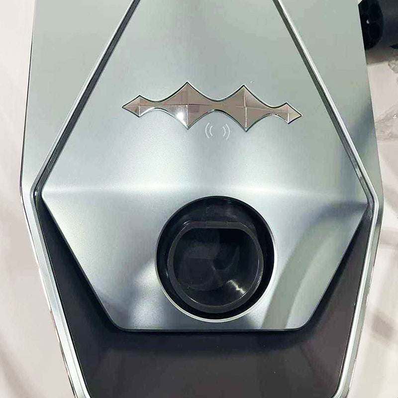 BYD Formula Leopard